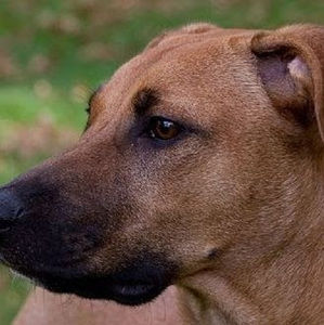 Meet your Posher, Jack